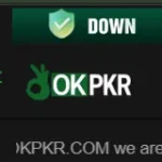 OKPKR Game Download APK | Best Earning App in Pakistan 2026 1 Screenshot 14