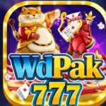 WDPAK777 Game Latest Earning Appp Get Free to Download 1 task 01kp1pdn9wfjg8yjqx2cvyaf38 1776026073 img 1 2